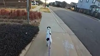 Ramona and Brett Morning Run Dec. 12, 2025