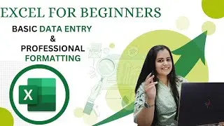 PROFESSIONAL FORMATTING in Excel 😎😎