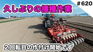 久しぶりのほうれん草播種作業　２回転目の作付けです