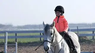agroSFERA: Wrodzona pasja końska. Stajnia TRZYKOSY i ludzie dla których konie to coś więcej