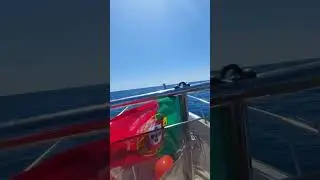 Just Cruising... #fishing #navegar #bostonwhaler #algarve #riaformosa #pescaaochoco #pesca #oceano