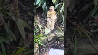 Went to Wendy&rsquo;s Secret Garden 2 days ago
