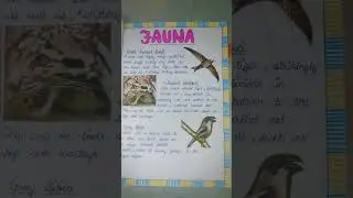 project file on flora fauna #schoolproject #floraandfauna #projectfile #sst #socialmedia #creative