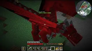 Quests, Dragons and More: Crazy Craft