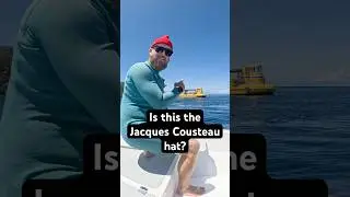 Why I wear the red scuba diving hat 🤿💦 #scubadiving #jacquescousteau #oceanlife