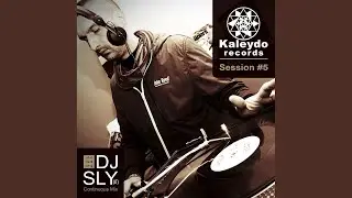 Kaleydo Records Session #5 (Continuous DJ Mix)