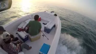 Qatar Angler bottom Emperor fishing