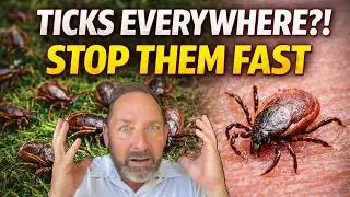 How to Get Rid of Ticks FAST (Yard & Home Treatment That Works)