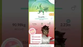 100iv scrptile caught in Pokemongo😊 #pokemonxyinhindi#pokemon #pikachu#pokemonhindi #pokemongo#ash