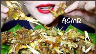 【FRIED MINI CRABS】ASMR/NO TALKING/MUKBANG