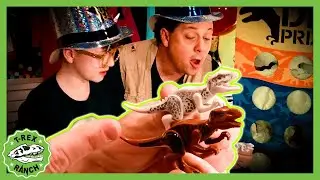 T-Rex Toytime Our Best Holiday Celebration! | 🦖🦕 T-Rex Ranch Dinosaur Videos