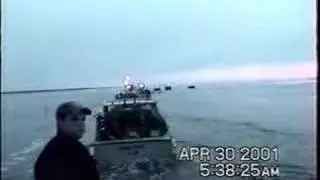 pigeon hill   2001 sortie dhomard