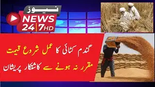 Farmers worried as wheat harvesting process begins in Punjab and Sindh, price not fixed