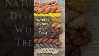 Let&rsquo;s Naturally Dye with Trees #naturalcolor #naturaldye #plants #tree #yarn