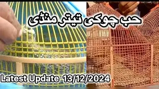 Hubchoki Teetar Mandi 13/Dec/2024