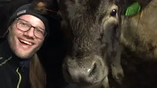 &Aring;rsfilm 2021