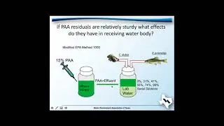 Paracetic Acid for Disinfection of Municipal Effluent