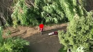 Calabria, piromane colto in flagrante grazie a perlustrazione con droni