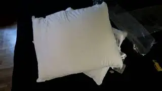 Amazon Basics Down Alternative Bed Pillows, Medium Density for Back and Side Sleepers Review
