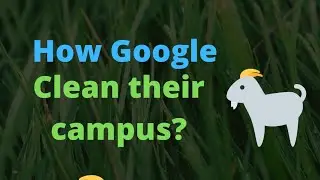 How Google clean their campus? 🐐 Coding Awareness | #shorts #tamil #cleaning