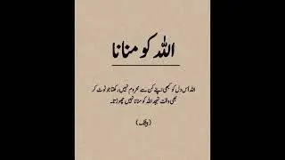 #quotes #bestquotes #hazrataliwisdom #poetry #tariqazizpoetry #poem #urdupoetry #shayari #poetrypoem