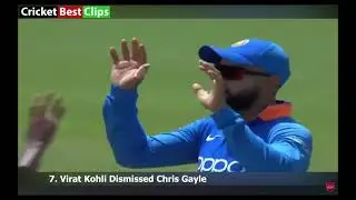 Virat Kohli Top 10 Catches | Best Fielding Moments of King Kohli