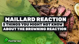 Maillard Reaction - 5 Things You Might Not Know About The Browning Reaction