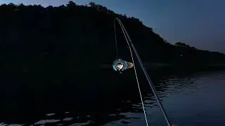 REAL VR FISHING