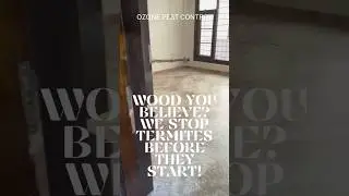 Wood you believe We stop termites before they start! | Krishna Nagar Delhi #ozonepestcontrol #delhi