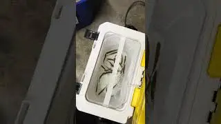 Моё новое ведерко для наживки, посмотрите, наконец-то! Я его купил. #подлёднаярыбалка