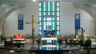 Homily from Tuesday, Sept 14, 2021, 8:15am Mass, Msgr. Mike Muhr