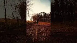 So quiet....... #ambientmusic #music #edit #lostinthemist #ambientwave
