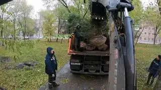 Экскаватор выручает.Сажаем ели с помощью экскаватора.