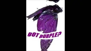 POP  PURPLESYRUP REMIX 36hz