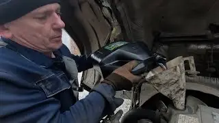 8 ноября 2024 г.