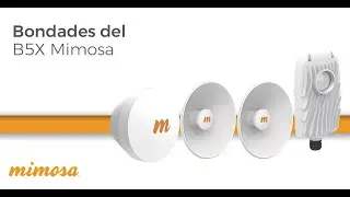 Bondades del B5X Mimosa