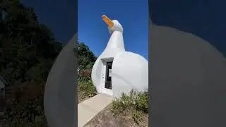Welcome to my home 🦢✨