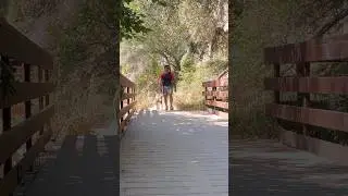 Angeles Forest #hiking #nature #forest #mountains #adventure #vlog #hike #natural #wilderness #water