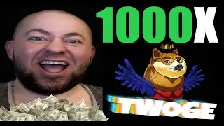 New Meme Coin Twoge INU 1000X Potential ??