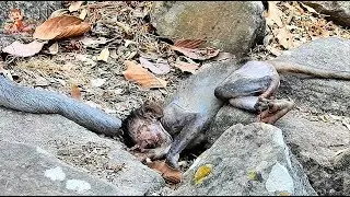 TOP SAD, Surely Pity Poor Baby Jayden So weakness, Why Mom Jade leave Baby alone like this?
