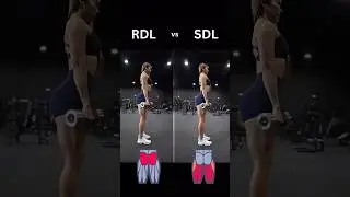 RDL vs SDL #youtubeshorts #viral #trending #fitness #onlinecoach #shorts #rdl #sdl #tutorial