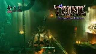 Trine Enchanted Edition - Forsaken Dungeons (Level 7)