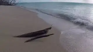 Deux jours à Barbuda
