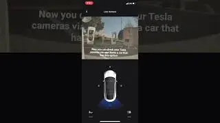 View Tesla cameras via its app!