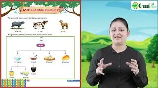 Ch 35 | Green View | General Awareness | UKG | Milk and Milk Products | For children