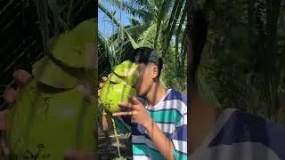 Vlog balik kampung soon! Subscribe me! #behindthescenes #balikkampung #vlogvideo