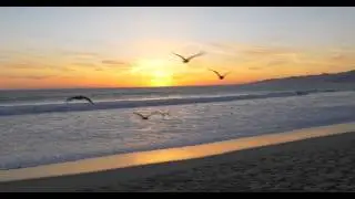GH4 - Untouched Footage - Handheld - Sunset Ocean - Venice Beach - 4k