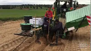plantaci&oacute;n Riegos TDJ