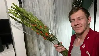А Мужчинам дарят Гладиолусы на 14 февраля?  Я дома, говорим о любви #блогер #жизньвсша