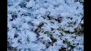 MALGA SOLE DOVE L'ACQUA RESPIRA DALLA NEVE TRENTINO NATURA WORLD IN 4K